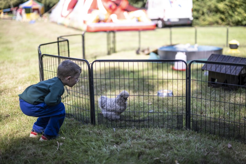Kind vor Streichelzoo Huhn