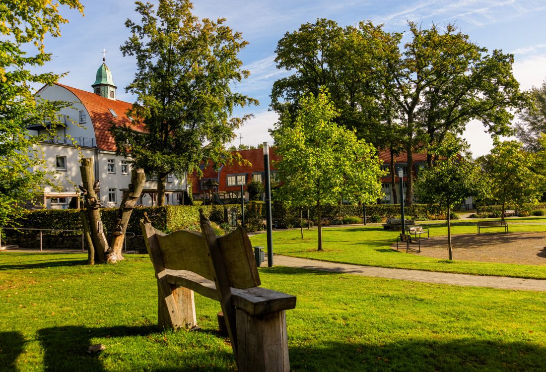 Mehrgenerationenpark Natur Bäume
